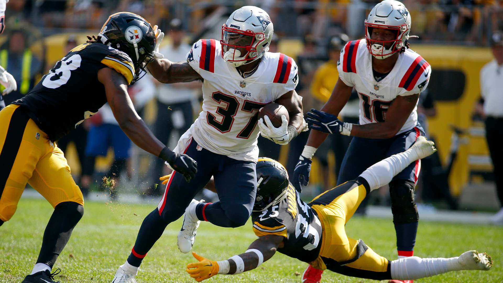 球迷呈现了 球迷呈现了